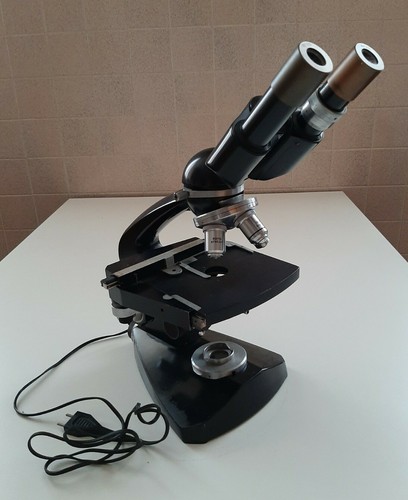 Microscopio binoculare vintage