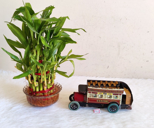 Vintage generale autobus due - vintage,