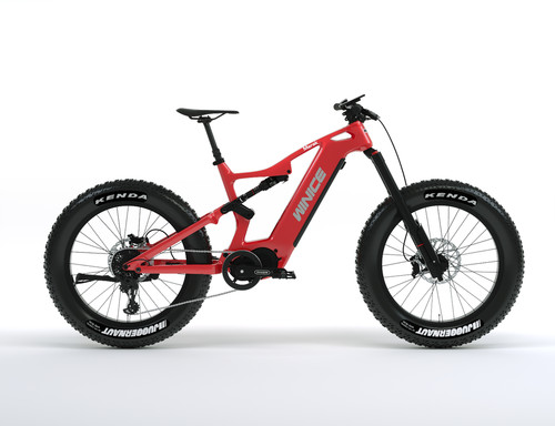 Dengfu e56 carbon fat - e56,