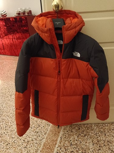 The north face - the, giubbotto