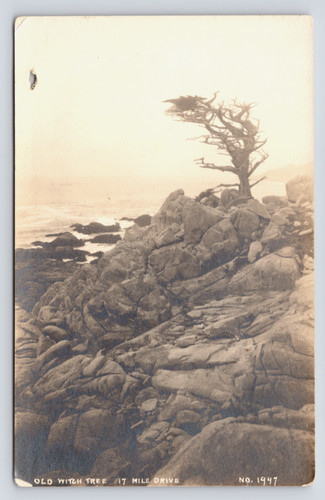 C1930 old witch - old,