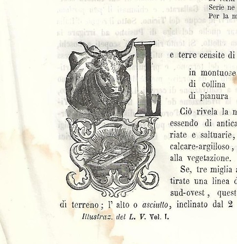 Stampa antica capolettera - stampa,