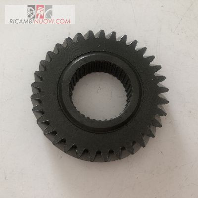 Ingranaggio marcia rapp - 5a,