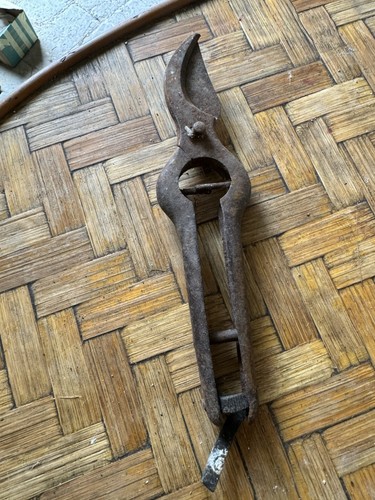 Forbice attrezzo antico - forbice,