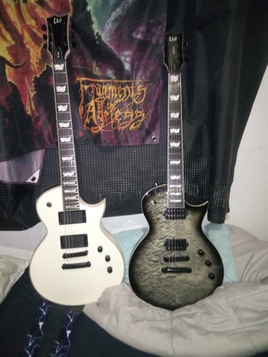 Chitarra elettrica esp ltd - elettrica,
