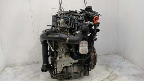Motore polo - motore,