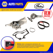 Kit pompa acqua e cinghia aux