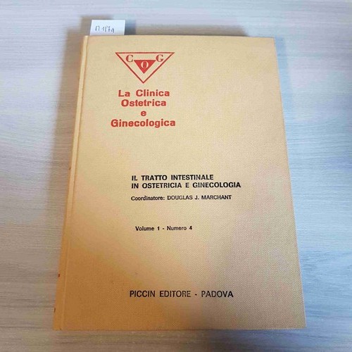 Tratto intestinale in - il,