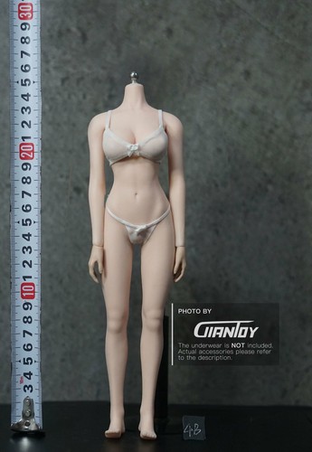 Corpo femminile senza cuciture