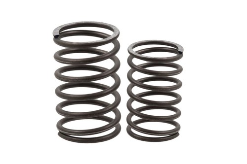 Kit molle valvole per bmw - bmw, r35