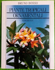 Piante tropicali ornamentali