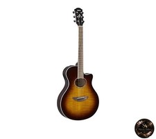 Chitarra acustica elettrica