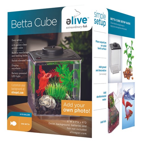 Elive 034160 betta cube con - 034160,