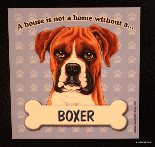 Boxer calamita cane - calamita, auto