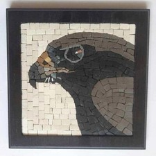 Unico Splendido Pezzo Di Falco