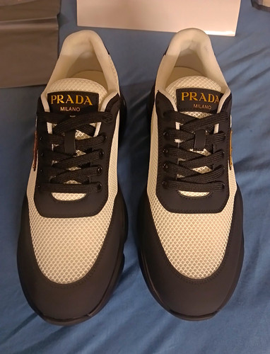 Prada novo calb - novo, basse