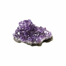 Drusa di Ametista Uruguay - 100 grammi circa