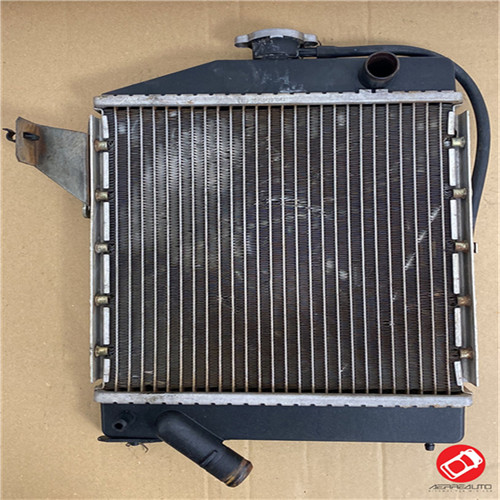 Radiatore acqua chatenet ch26 - chatenet,