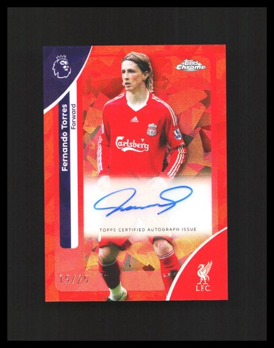2026 fernando torres auto - torres,