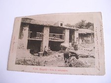 Napoli - vita di campagna - spedita f. p. 