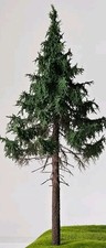 🍀🍀🍀 Albero modello H0