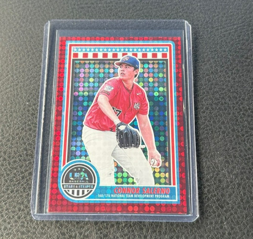 2025 panini stelle strisce - e,