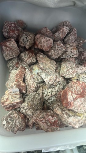 1kg rough leopard skin - 1kg,
