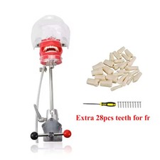 Simulatore Dentale Manichino