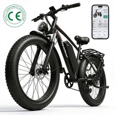 City e Bike Bicicletta