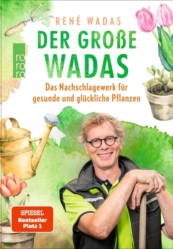 René wadas der - rené,