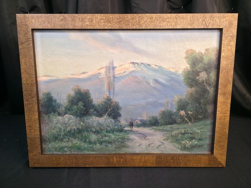 Olio tela senza titolo - tela,