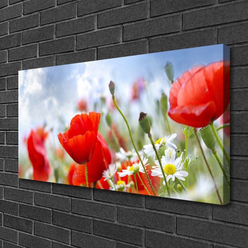 Stampa tela canvas 100x50 - su,
