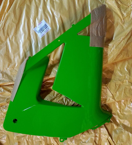 Carena ant kawasaki - dx, zx10r