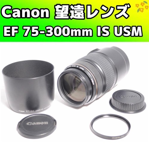 Canon 300 5 6 is - mm, f4-5.6