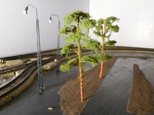 3 Abeti, per Conifere, 140 MM Alto, IN Premium Qualità, Jeder Albero Ein Unico