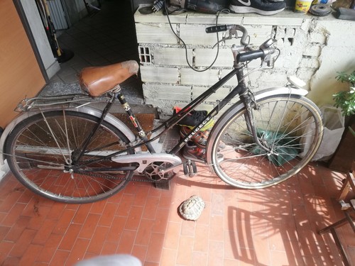 Bicicletta peugeot vintage - bicicletta,