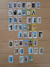 Shogakukan Learning Magazine