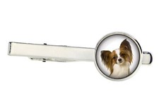 Papillon spilla cravatta - spilla, con