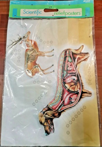 Poster rilievo scientific - poster, a