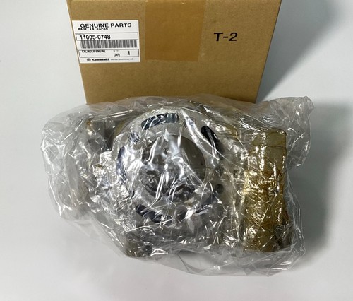 Kawasaki parte 11005 - kawasaki,
