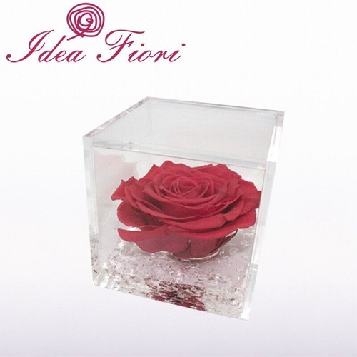 Flowercube rosa stabilizzata - flowercube,