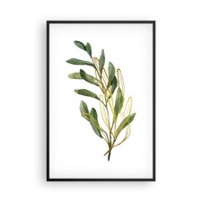 Poster 61x91cm Foglie Oliva