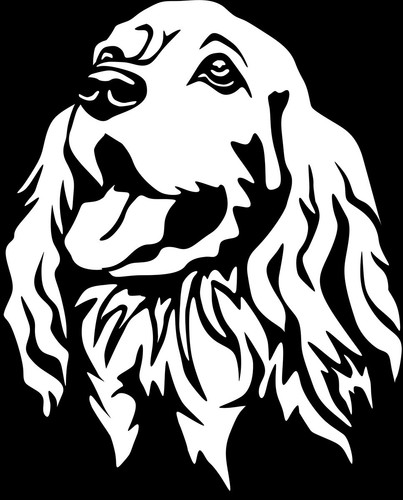 Adesivo cocker spaniel - adesivo,