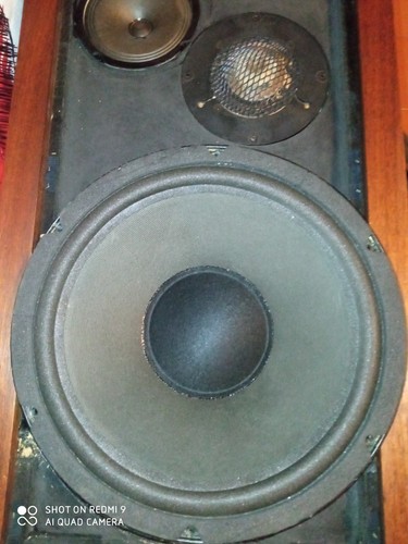 Woofers electronic melody - melody, by