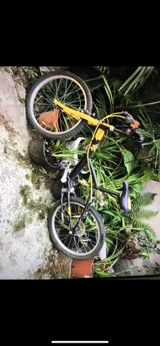 Bici bimbo - bimbo,