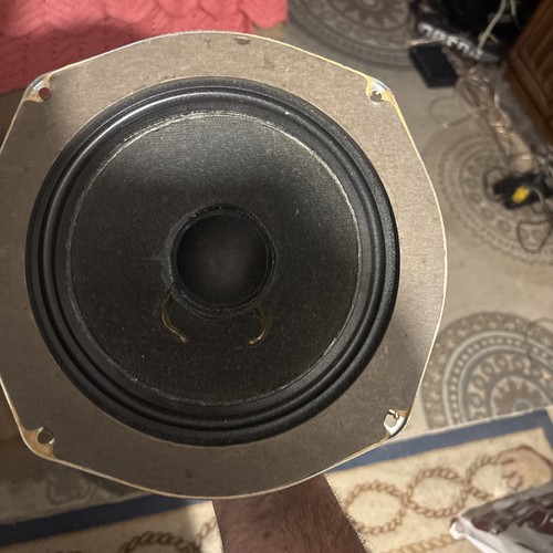 Coppia altoparlanti woofer - altoparlanti,
