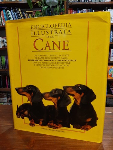 Enciclopedia illustrata del