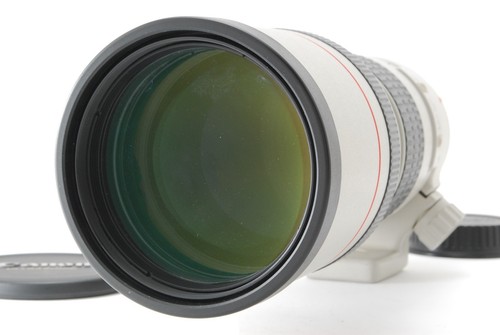 Ecc canon ef 300mm f4 - ef,