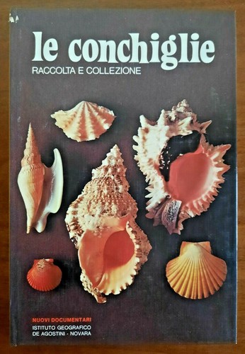 Conchiglie raccolta e - conchiglie.,