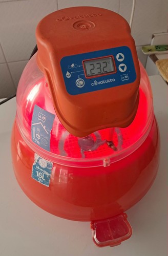 Incubatrice covatutto pro - l,